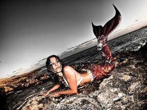 I think, I gonna bring you back in the ocean...beautiful ... by Dave Benz 